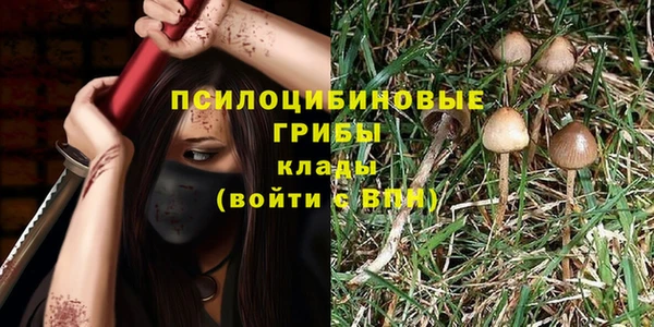 ешки Надым