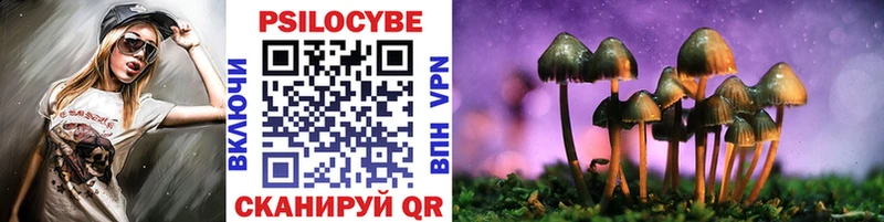 Псилоцибиновые грибы мицелий  даркнет сайт  kraken как войти  Талдом 